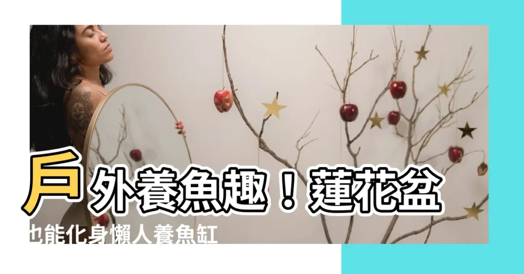 【室外養魚】户外養魚趣！蓮花盆也能化身懶人養魚缸，防蚊又賞心悦目