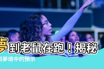 【夢到老鼠在跑】夢到老鼠在跑！揭秘不同夢境中的預示