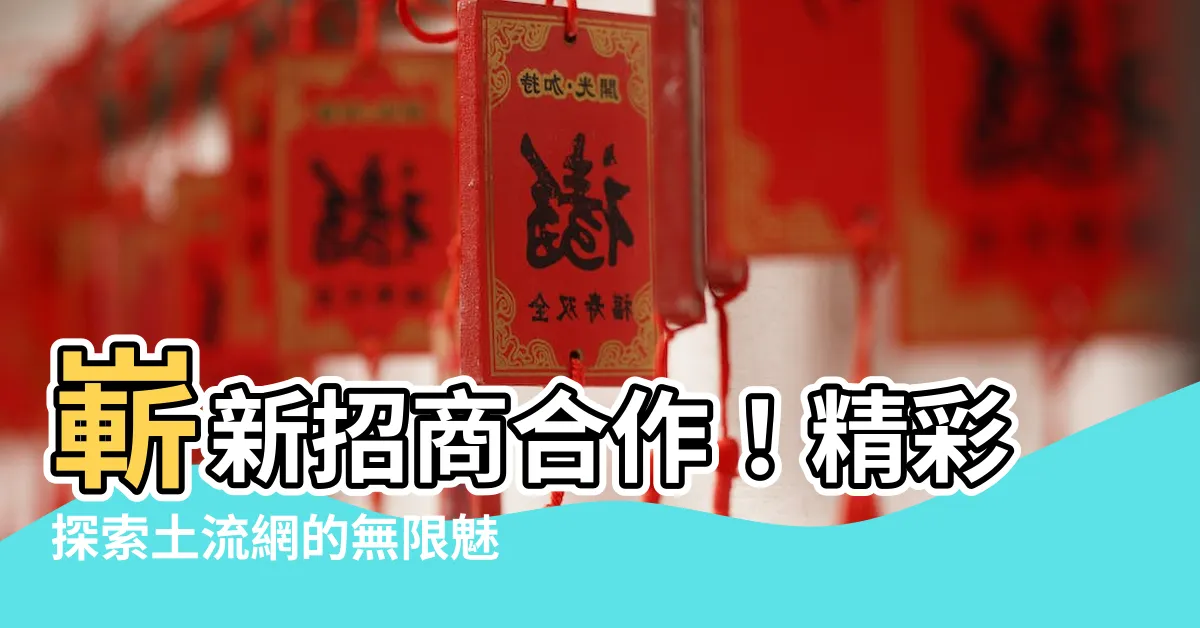 【土流】嶄新招商合作！精彩探索土流網的無限魅力