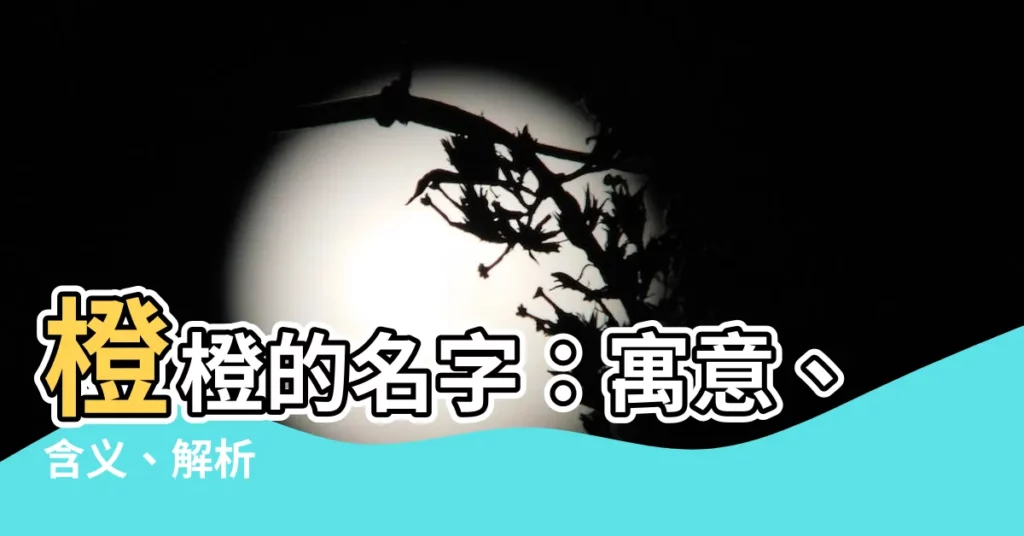 【橙橙的名字】橙橙的名字：寓意、含義、解析