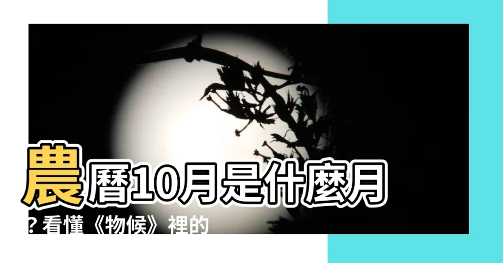 【農曆10月是什麼月】農曆10月是什麼月？看懂《物候》裡的潛台詞