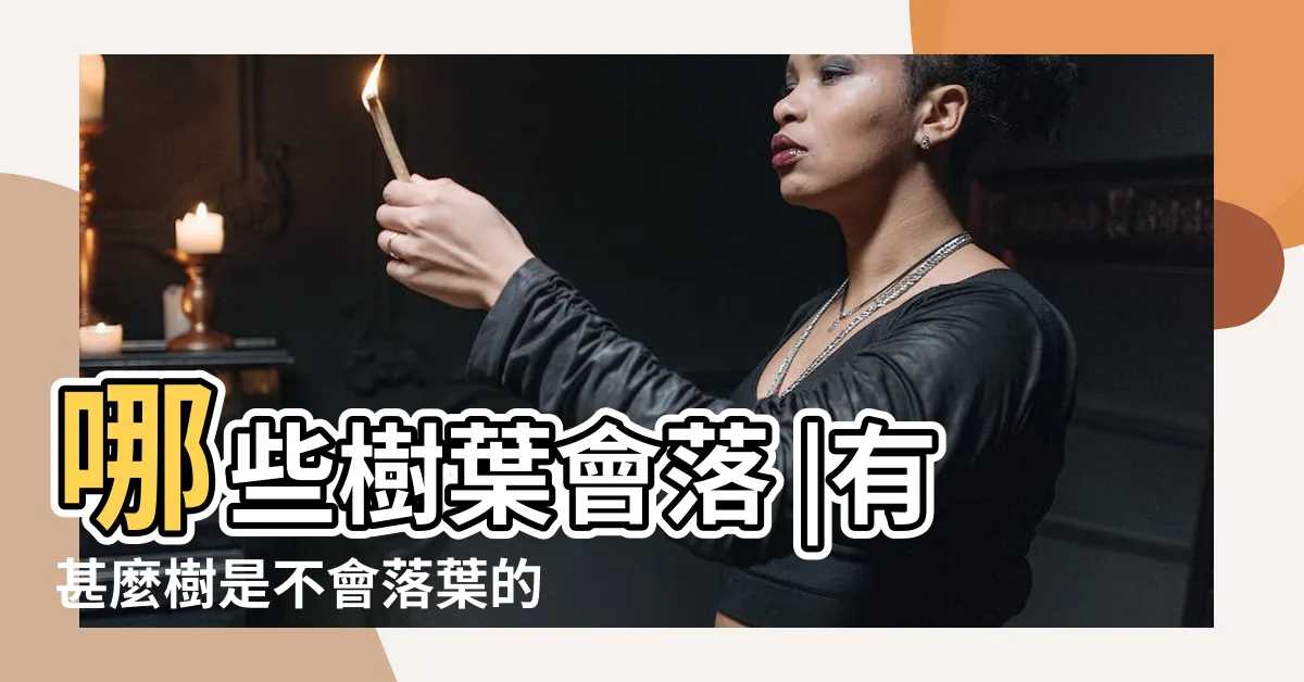 【不落葉的樹】哪些樹葉會落 |有甚麼樹是不會落葉的 |常綠樹木落不落葉 |