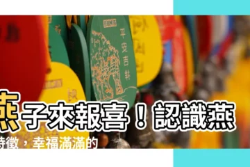 【燕子特徵】燕子來報喜！認識燕子特徵，幸福滿滿的生活等你來