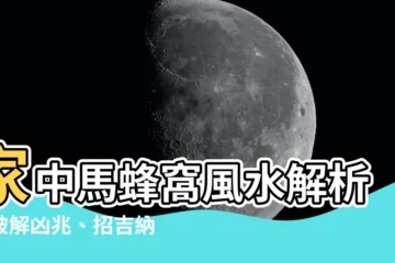 【馬蜂窩風水】家中馬蜂窩風水解析：破解凶兆、招吉納祥