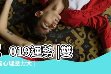 【雙子座男生2019運勢】2019運勢 |雙子座心理壓力大 |2019每週星座運程 |