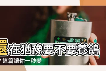 【養鴿子】還在猶豫要不要養鴿子？這篇讓你一秒變養鴿達人！