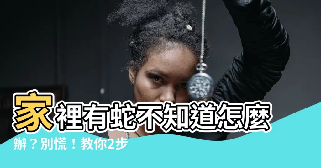 【家裡有蛇找誰】家裡有蛇不知道怎麼辦？別慌！教你2步驟應對！