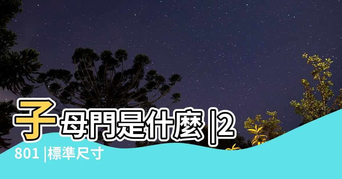 【單開門尺寸】子母門是什麼 |2801 |標準尺寸 |