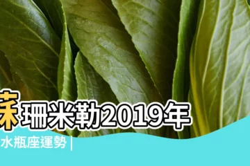 【2019年3月30日水瓶座星座運勢】蘇珊米勒2019年3月水瓶座運勢 |蘇珊米勒2019年3月星座運程水瓶座 |2019年3月30日12星座各方面運勢預報 |