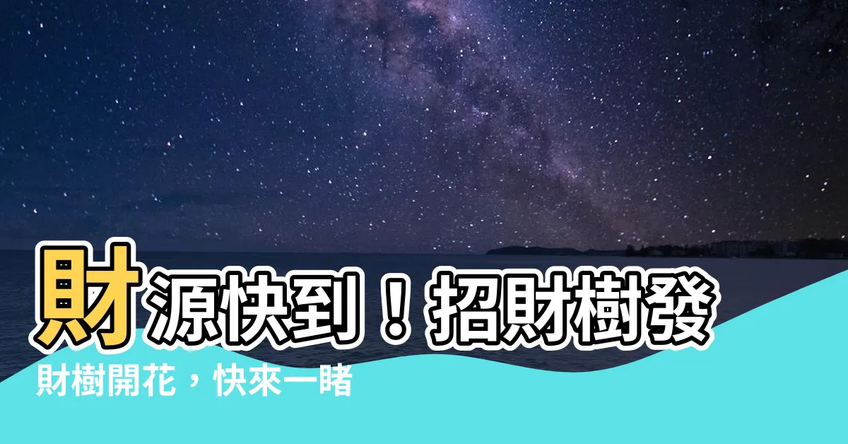 【招財樹發財樹開花】財源快到！招財樹發財樹開花，快來一睹開運奇景