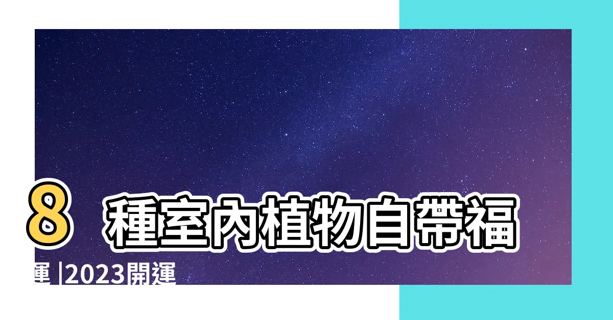 【招財植物風水】8種室內植物自帶福運 |2023開運方法大公開 |居家風水撇步 |