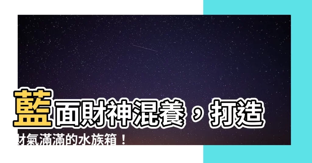 【藍面財神混養】藍面財神混養，打造財氣滿滿的水族箱！