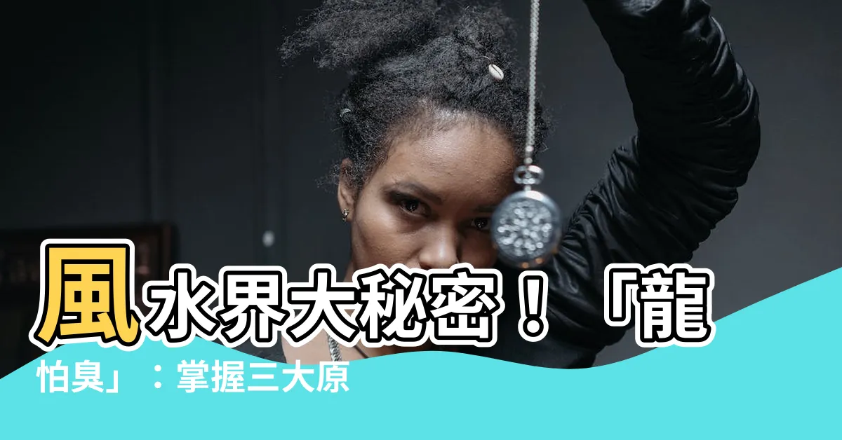 【龍怕臭】風水界大秘密！「龍怕臭」：掌握三大原則，事業飛黃騰達