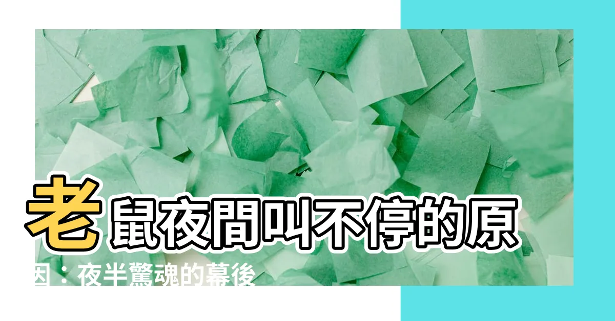 【老鼠叫的原因】老鼠夜間叫不停的原因：夜半驚魂的幕後推手