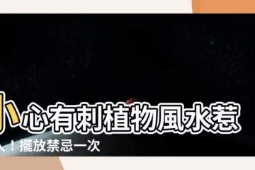 【有刺植物風水】小心有刺植物風水惹小人！擺放禁忌一次看