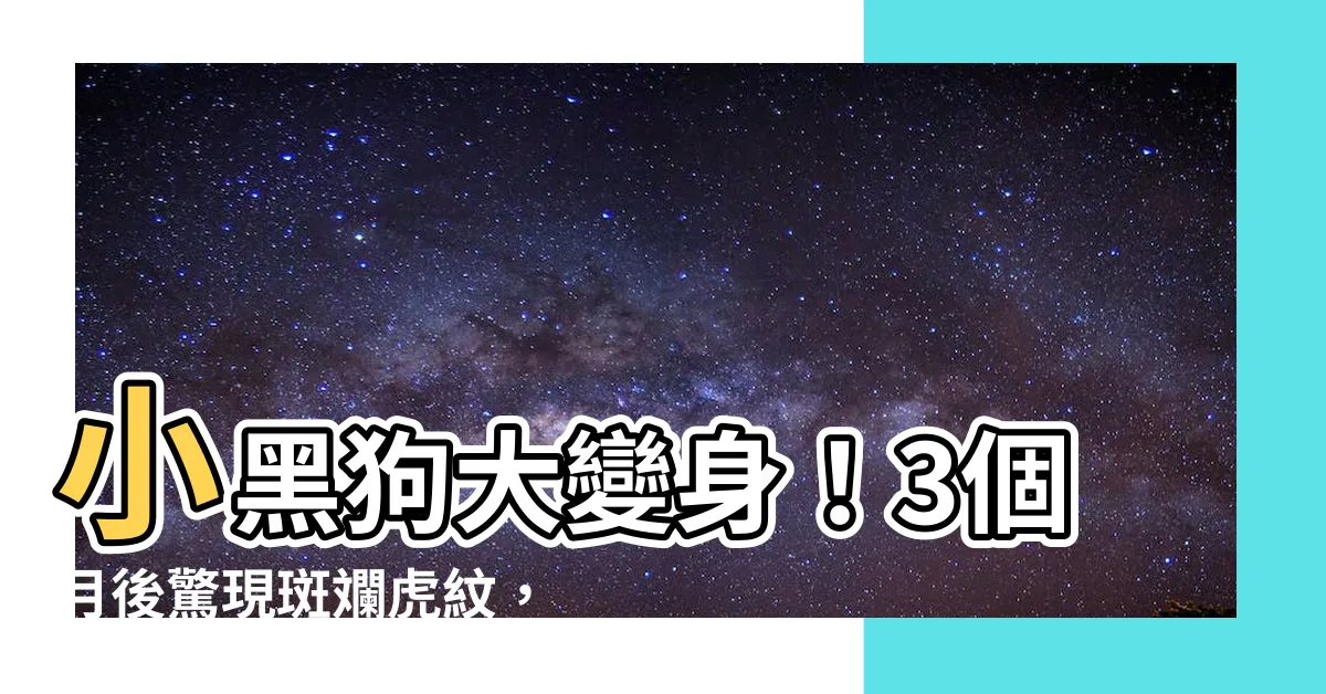 【小黑狗】小黑狗大變身！3個月後驚現斑斕虎紋，媽媽直呼不可思議