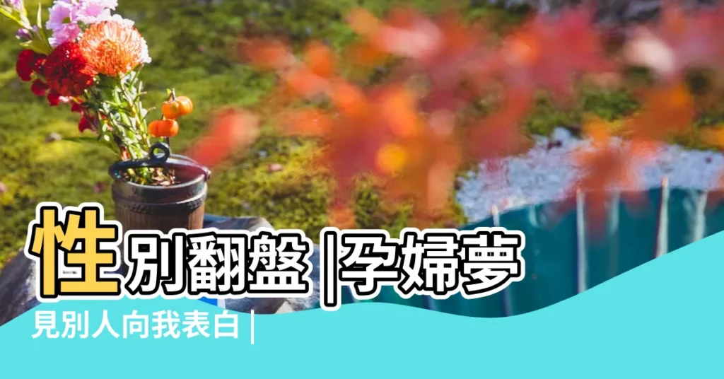 性別翻盤 |孕婦夢見別人向我表白 |夢見小孩小名 |【孕婦夢見別人來找我玩】