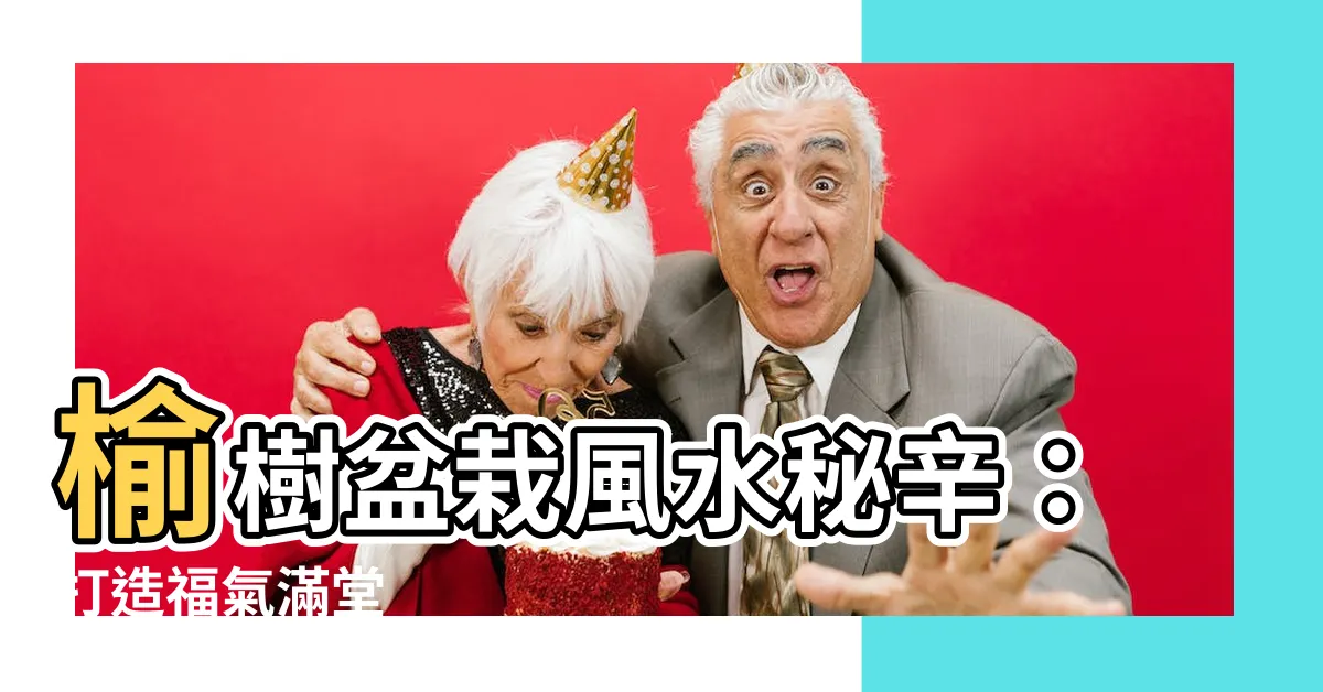 【榆樹盆栽風水】榆樹盆栽風水秘辛：打造福氣滿堂