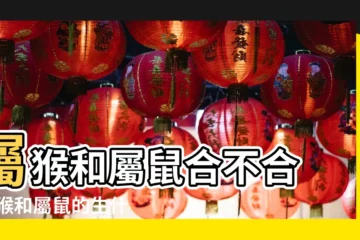 【屬猴的找屬鼠的命喝嗎】屬猴和屬鼠合不合 |屬猴和屬鼠的生什麼屬相的孩子好 |生肖屬相也會相生相剋麼 |