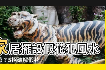 【假花風水破解】家居擺設假花犯風水禁忌？5招破解假花風水，擺對地方招財旺運