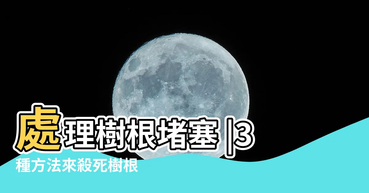【樹根清除】處理樹根堵塞 |3種方法來殺死樹根 |4種方法來清除樹樁 |