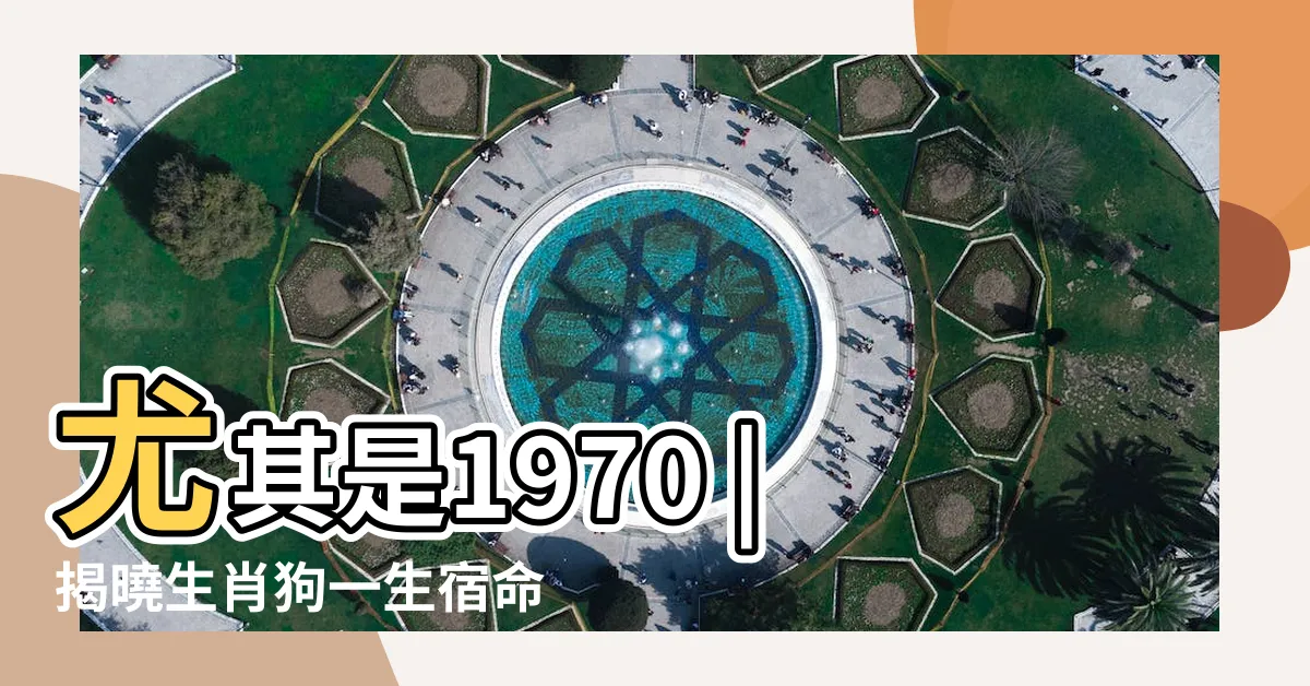 【1970屬狗一生】尤其是1970 |揭曉生肖狗一生宿命 |1970年屬狗的幾月出生最好 |