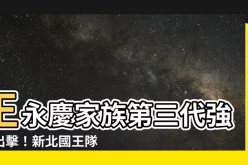 【王永慶家族第三代】王永慶家族第三代強勢出擊！新北國王隊正式成軍！