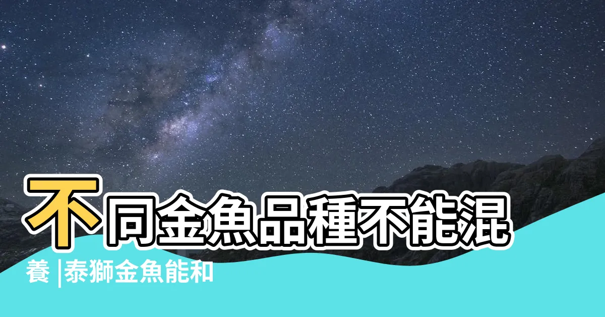 【獅頭金魚混養】不同金魚品種不能混養 |泰獅金魚能和什麼魚混養 |有些金魚的嘴不一般 |