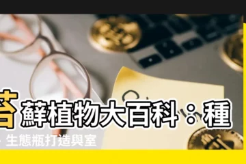 【苔蘚植物介紹】苔蘚植物大百科：種類、生態瓶打造與室內裝飾教學