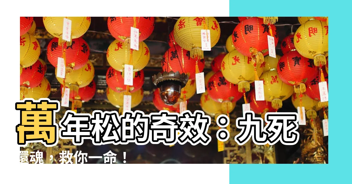 【萬年松功效】萬年松的奇效：九死還魂，救你一命！