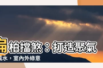 【扁柏擋煞】扁柏擋煞：打造聚氣好風水，室內外綠意更添運勢