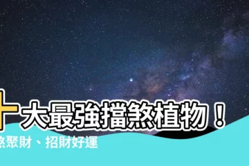 【擋煞 植物】十大最強擋煞植物！化煞聚財、招財好運到你家