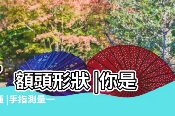 【額頭 手掌寬】7額頭形狀 |你是哪種 |手指測量一秒即知道 |