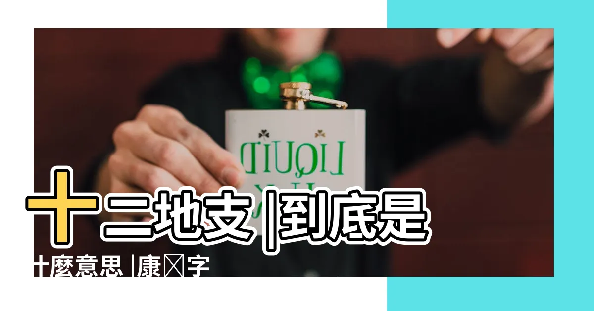 【寅、卯、巳、未】十二地支 |到底是什麼意思 |康煕字典 |