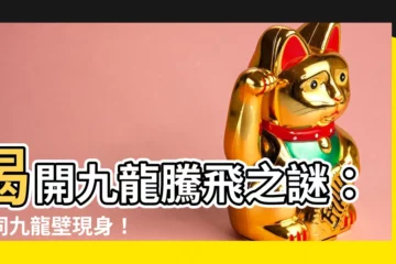 【大同九龍壁】揭開九龍騰飛之謎：大同九龍壁現身！