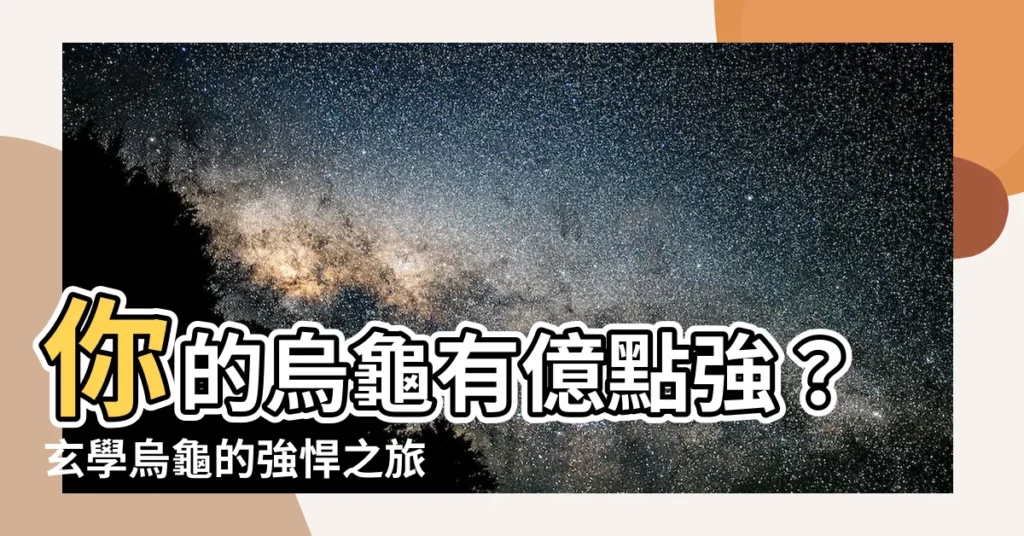 【玄學烏龜】你的烏龜有億點強？玄學烏龜的強悍之旅