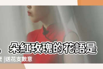【1支紅玫瑰的意思】1朵紅玫瑰的花語是什麼 |送花支數意思和玫瑰花顏色花語 |1朵紅玫瑰代表什麼意思 |