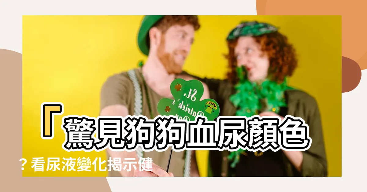 【狗狗血尿顏色】「驚見狗狗血尿顏色？看尿液變化揭示健康問題！」