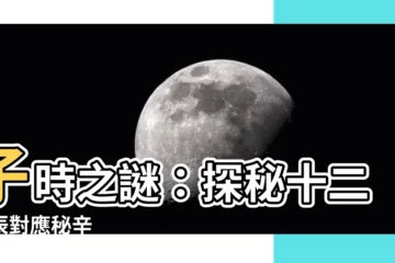 【子 時】子時之謎：探秘十二時辰對應秘辛