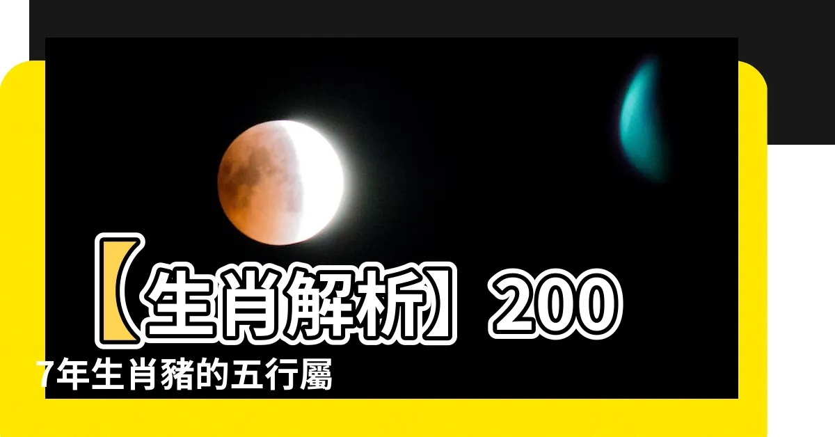 【2007 豬 年 五行】【生肖解析】2007年生肖豬的五行屬性與命運揭秘！