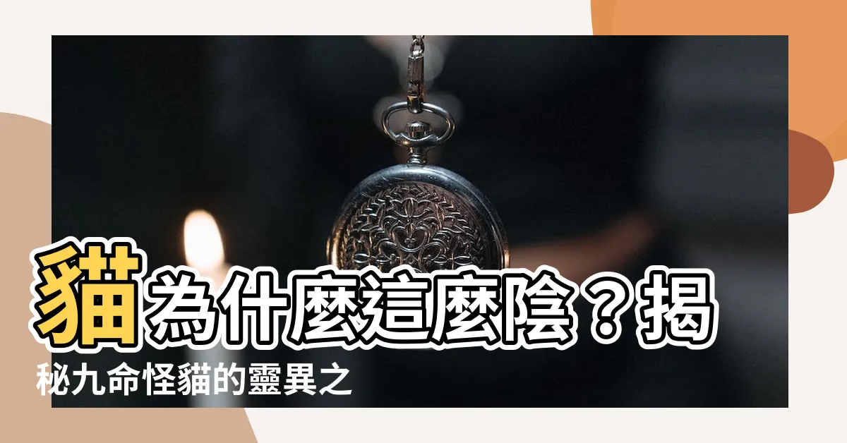 【貓為什麼陰】貓為什麼這麼陰？揭秘九命怪貓的靈異之謎