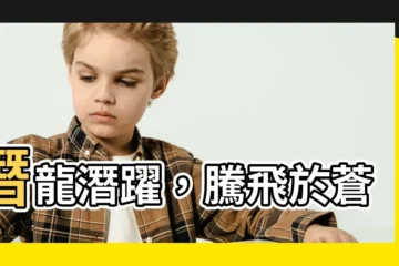 【潛龍】潛龍潛躍，騰飛於蒼穹！