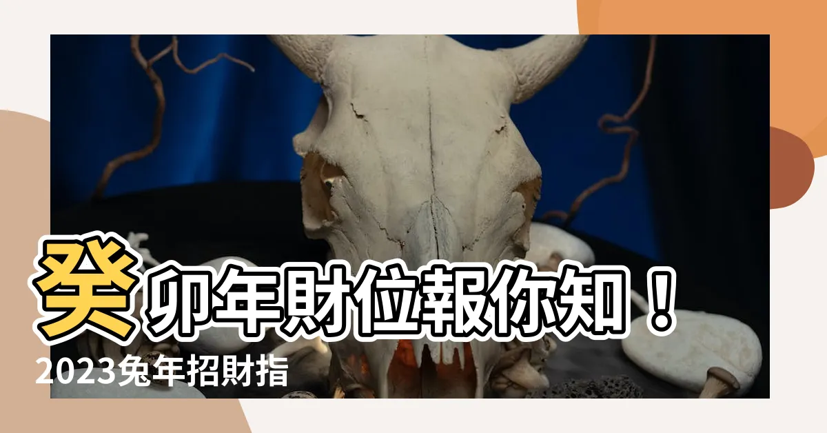 【癸卯年財位】癸卯年財位報你知！2023兔年招財指南