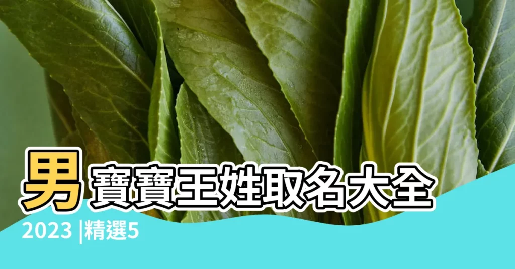 男寶寶王姓取名大全2023 |精選500個 |姓王的男孩起名 |【王姓男寶寶名字大全】