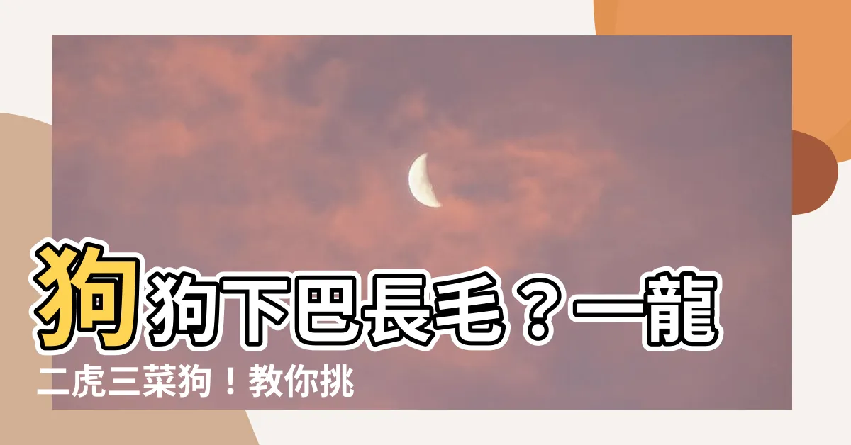 【一龍二虎三菜狗】狗狗下巴長毛？一龍二虎三菜狗！教你挑選最忠誠的毛小孩！