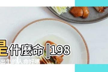 【88年臘月出生是什麼命】是什麼命 |1988年出生的人命好嗎 |1988年屬龍的幾月出生最好 |