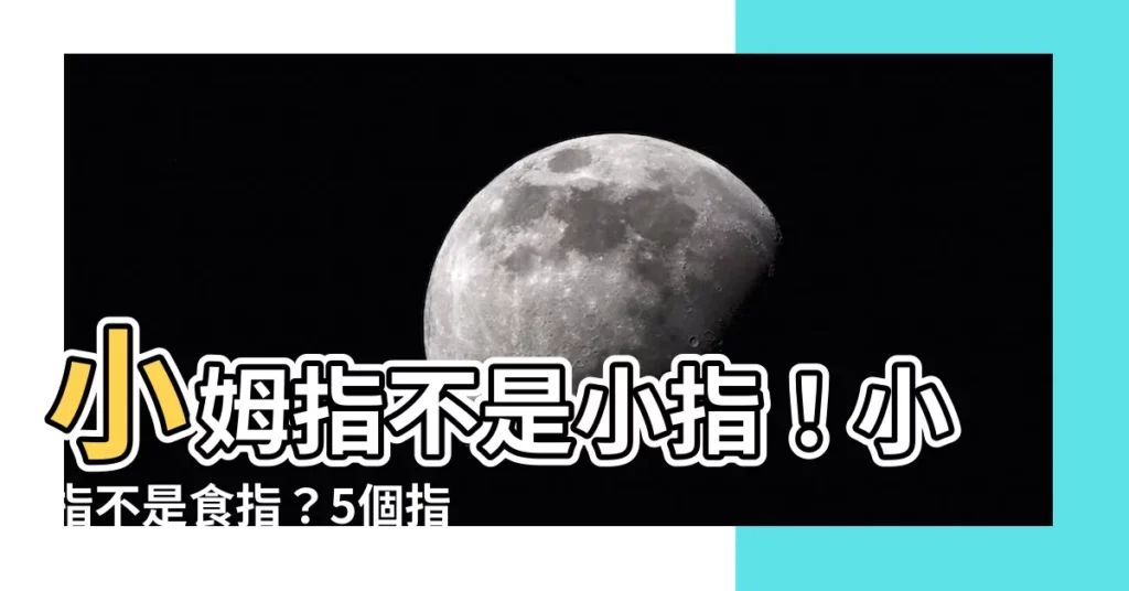 【小姆指】小姆指不是小指!小指不是食指?5個指頭大解密!