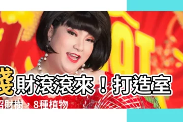 【室內招財樹】錢財滾滾來！打造室內招財樹，8種植物助你迎吉納福