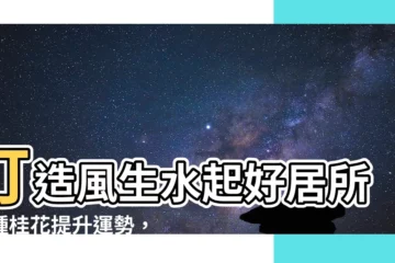 【種桂花好嗎】打造風生水起好居所！種桂花提升運勢，禁忌莫忽視！