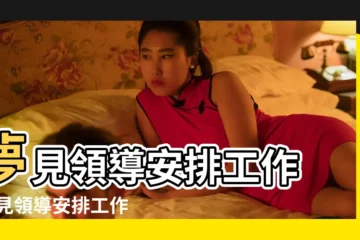 【夢見領導安排自己新的工作】夢見領導安排工作 |夢見領導安排工作 |夢見領導安排任務 |